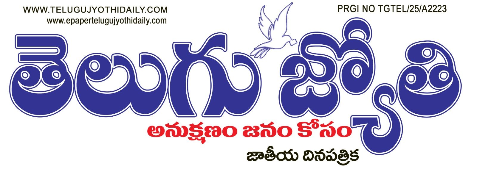 Newspaper Banner